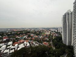 D'Leedon (D10), Condominium #489294921